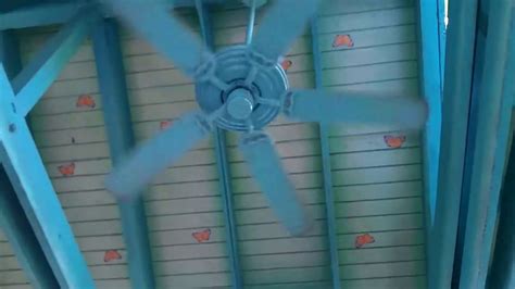 My family and i always go on a trip to disney every year! 52" Hunter Sea Air and Mariner Ceiling Fans in a Outdoor ...