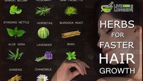 You got yourself a good one right there, mama! Kitchen Ingredients And Why This Works | Herbs for hair ...