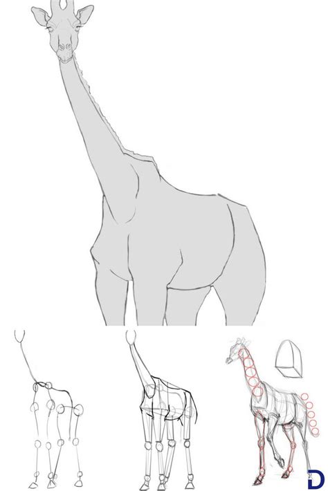 Comment dessiner un animal et plus précisément une joli girafe jaune. Comment dessiner une girafe | Pinterest peinture, Comment ...
