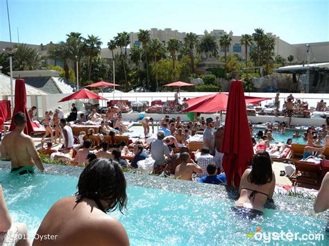 Owners dieter seelig and brian stapleton say they haven't been. Oyster Finds a Dozen of the Summer's Raunchiest Hotel Pool ...