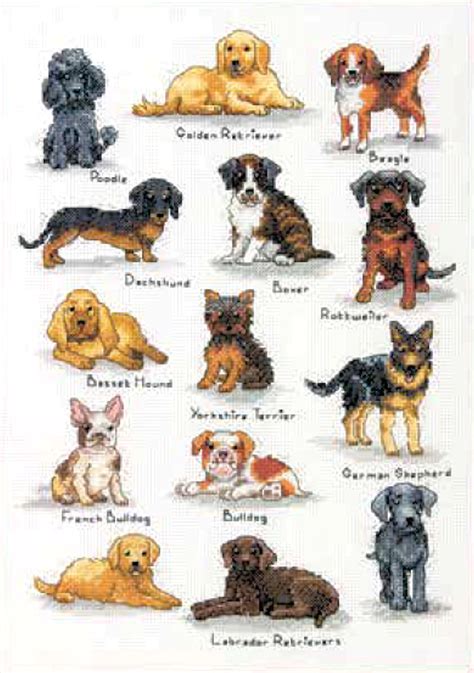 Maybe you would like to learn more about one of these? Dimensions - Dog Sampler - CrossStitchWorld | Cross stitch ...