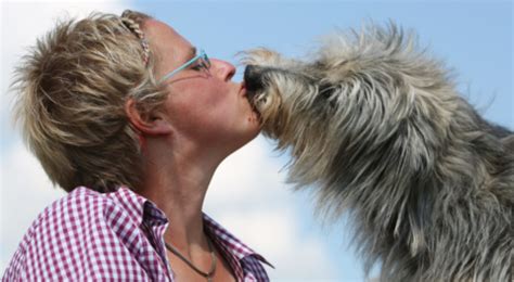 Wollen sie „auf den hund kommen? Veranstaltungen zum Thema Hunde im Café "Treffpunkt für ...