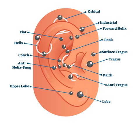 ✅ s'il n'y a pas de fièvre et que l'infection. Les différents piercings d'oreilles