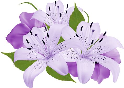 Download high quality purple flower clip art from our collection of 65,000,000 clip art graphics. Purple lily clipart 20 free Cliparts | Download images on ...