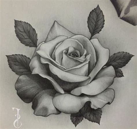 A blunt pencil must be used to make the sketch look crude know yourself what you want your rose to look like as there are variety of roses and each of them differ in petals stems colors and more. Sketch Realistic Rose Tattoo Stencil - Best Tattoo Ideas