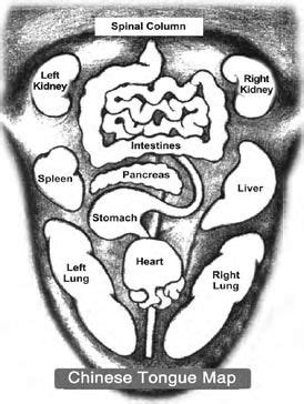 Chinese Tongue Chart: Find out more alternative ways to ...
