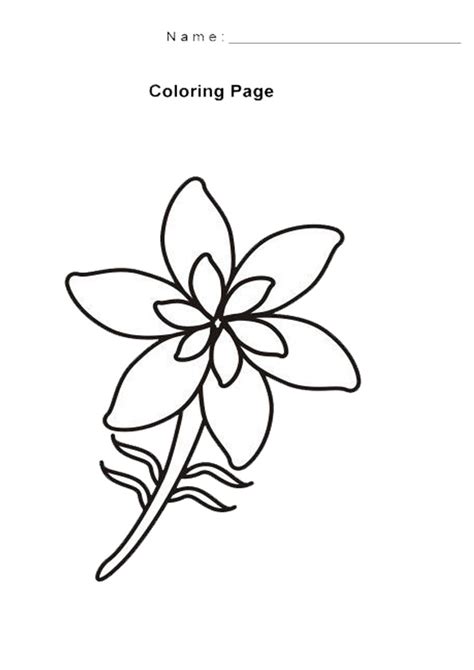 Download Printable Jasmine Flower Coloring Pages - Free Printable ...