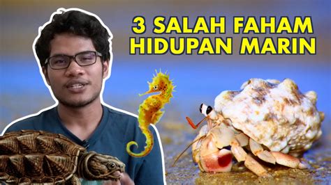 Itu salah satu daripada banyak peraturan dewan. 3 Salah Faham Hidupan Marin - ML Studios