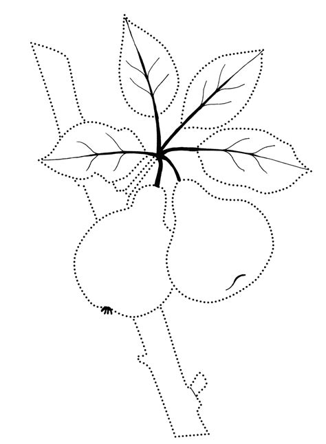 Vi proponiamo 6 frullati estivi a base di frutta per sorprendere i piccoli di casa, ma anche i grandi. Disegni da colorare - Frutta dolce sullalbero