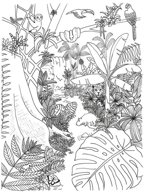 Jungle is a large, undeveloped, humid forest, especially in a tropical region, that is home to many wild plants and animals. Jungle coloring pages. Download and print Jungle coloring ...