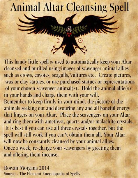 Magic wiccan old book with occult illustration, mystic vector background — stock vector image. Animal Altar Cleansing Spell (Printable Spell Page) | Book ...