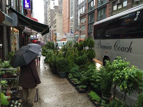 Maybe you would like to learn more about one of these? NYC Flower District- 28th Street between 7th and Ave of ...