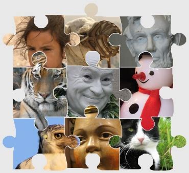 Maybe you would like to learn more about one of these? PhotoSpills Puzzle Collage