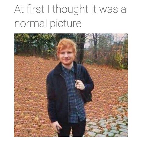 As glorious as ed sheeran's face is, there's one thing that can top it. https://i.imgur.com/jWoKlpj.jpg | Funny pictures, Funny ...