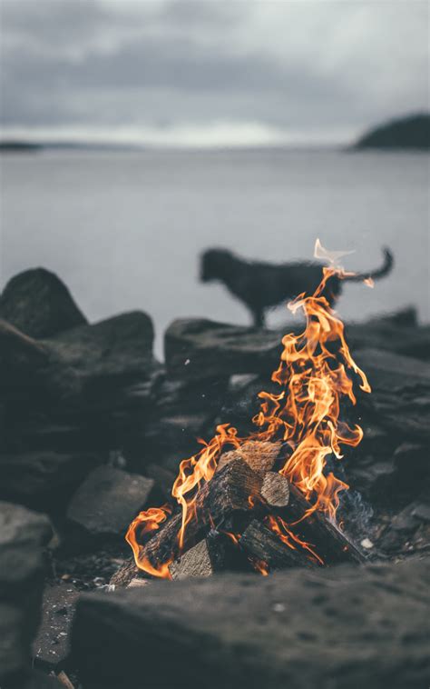 We did not find results for: Free download 98 Beautiful HD Wallpapers Album on Imgur ...
