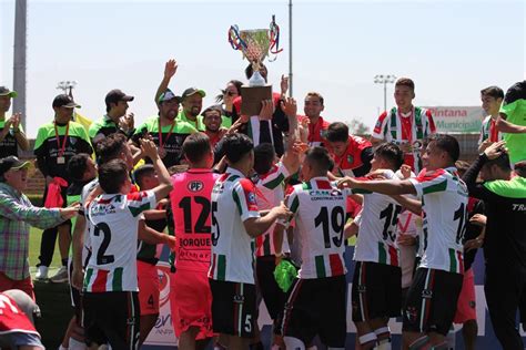 Palestino is playing next match on 29 may 2021 against o'higgins in primera division.when the match starts, you will be able to follow o'higgins v palestino live score, standings, minute by minute updated live results and match statistics.we may have video highlights with goals and news for some. Turkey delivers aid to Palestinian football club in Chile