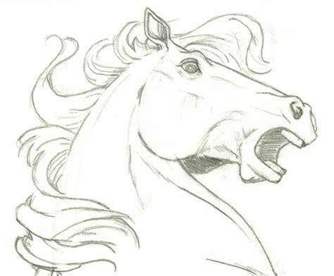 I hope this tutorial has helped you. Horse head- surprise | Horse drawings, Horse head drawing ...