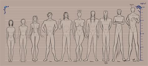 We did not find results for: height comparison chart - Google Search
