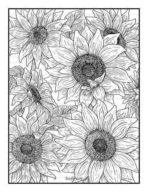 Signup to get the inside scoop from our monthly newsletters. Sunflowers 8 1/2 x 11 Printable Coloring Page - Color with ...