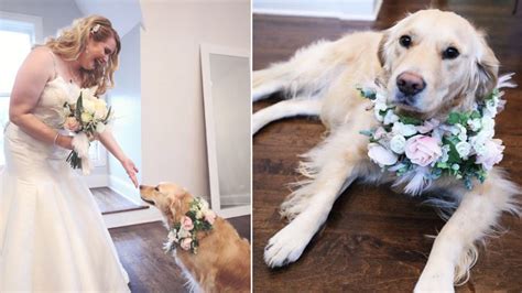 We did not find results for: Bride Walks Down the Aisle With Her Dog as Flower Girl ...