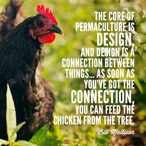 We did not find results for: Get More Out of Your Chickens (with less work) - Nine ...