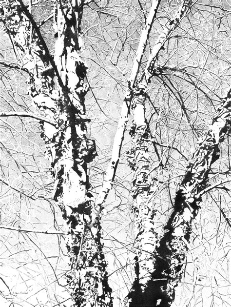Not every drawing will be inked the same way. "RIVER BIRCH SKY" PEN & INK DRAWING, POINTILLISM | Ink pen ...