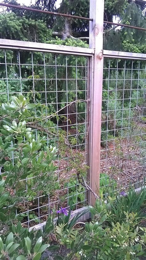 Garden number 5 was the first one where i had to use actual deer fence. Building A Raised Garden Bed with legs For Your Plants ...