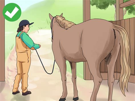 How do you groom labradoodles? How to Groom a Horse: 13 Steps (with Pictures) - wikiHow