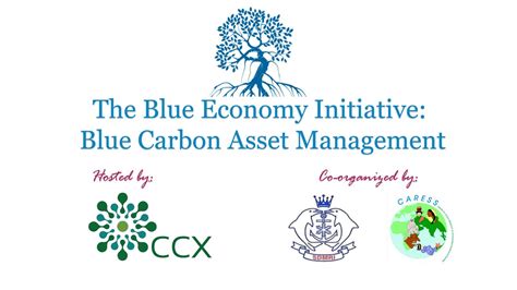 If you're getting few results, try a more general. The Blue Economy Initiative: Blue Carbon Asset Management ...