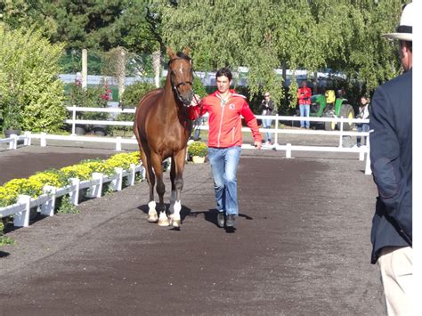 Rio de janeiro 2016 nick skelton sur big star peder fredricson sur all in éric lamaze sur fine lady 5 JEM Normandie - tous les chevaux suisses de saut d ...