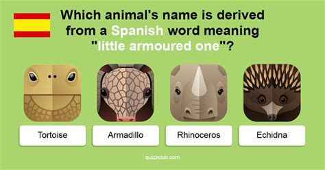 Maybe you would like to learn more about one of these? Which animal's name is derived from a Spanish word meaning ...