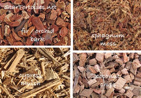Wood orchid baskets for vanda, cattleya and other orchids. Substrates for Indoor Tortoise Enclosures