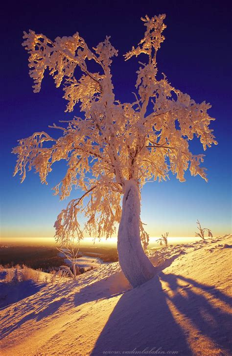 Hiver neige paysage nature froid montagne montagnes hivernal arbres alpes. Comment réussir ses photos de neige | Photo de neige ...