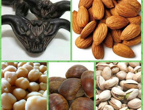 Masukkan tepung sagu lalu aduk hingga adonan kalis dan dapat dipulung. Bagaimanakah Rupa Pokok Kacang Walnut, Badam, Hazelnut Dan ...