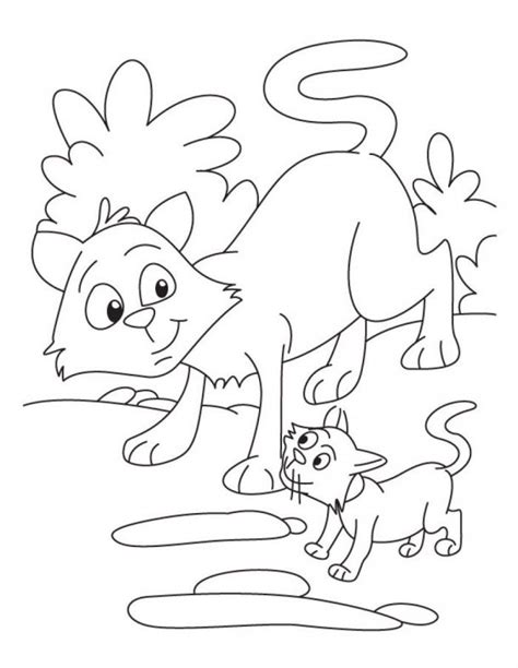 This is a good picture to begin with as it showcases the various types of warrior cats. Warrior Cat Coloring Pages - Coloring Home