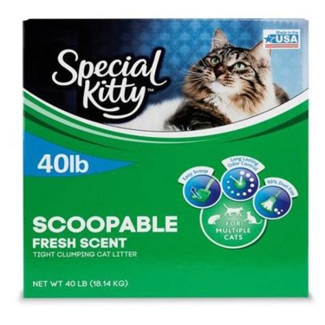 Stop lugging heavy bags home and save time with boxiecat. Special Kitty Fresh Scent Scoopable Clumping Cat Litter ...