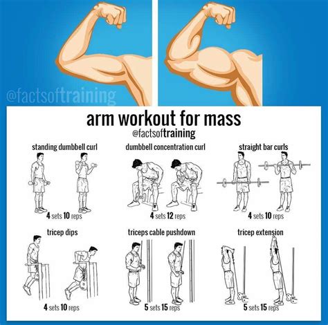 Home workouts provides daily workout routines for all your main muscle groups. Arm Workout For Muscle Gain in 2020 | Biceps workout, Arm ...