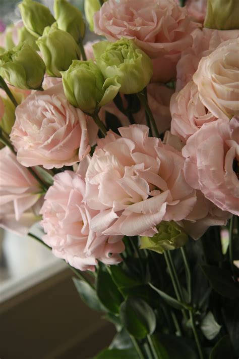 You are serious about finding love, and not afraid to show your affection. Pin on flowers in pink (selected by trémolo)