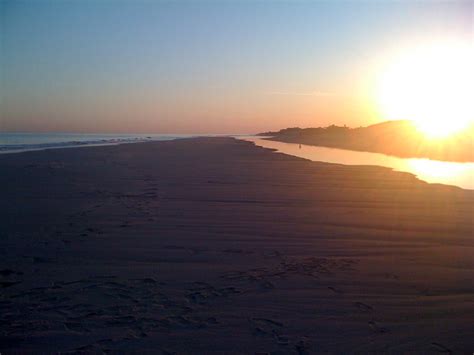 A beautiful dog on a beautiful beach on a beautiful day. Sagg Main | Sagg Main Beach, Sagaponack, NY | Jaclyn | Flickr