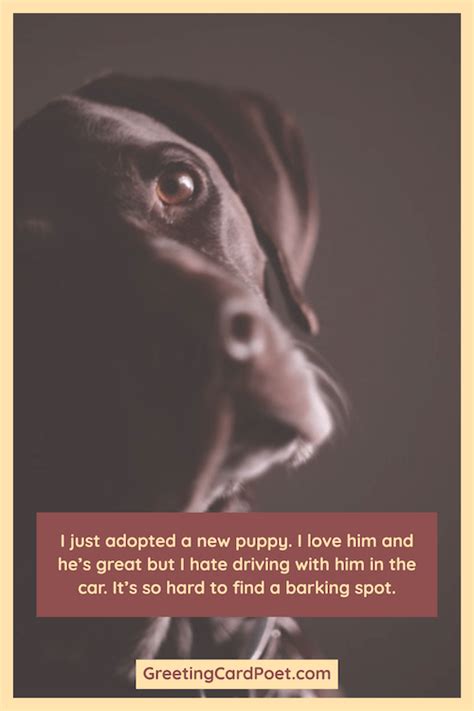 Find the newest national puppy day meme. National Puppy Day is March 23 - Quotes, Jokes, Captions ...