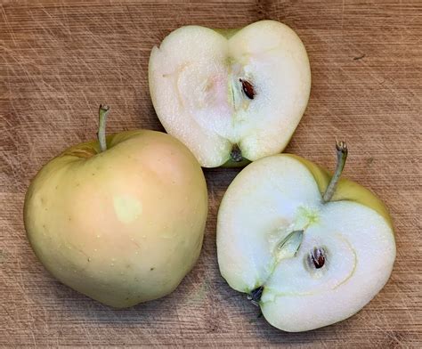 The main reason we don't see these on the grocery store shelves, these ones with the pink flesh, is that they have other attributes that are really not desirable. Pink Pearl Apples | Organic | Local apples from San Diego