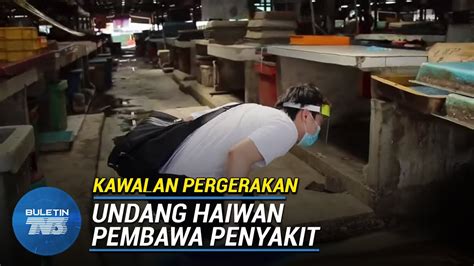 Terlalu banyak pencemaran yang berlaku di kawasan bandar, kawasan perumahan dan kawasan antara punca pencemaran tanah adalah seperti berikut: KAWALAN PERGERAKAN | Sisa Barang Basah Punca Bau Busuk ...