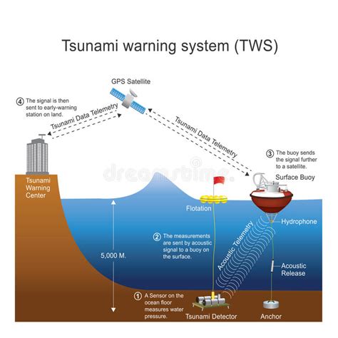 But it was a false alarm. Tsunami Warning System TWS. Vector Design. Stock Vector ...