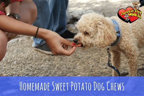 Unfortunately, aussie pet mobile corporate markets their franchises to people without any former grooming or animal care experience. Homemade Sweet Potato Dog Chews - Aussie Pet Mobile