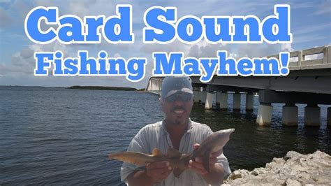 Maybe you would like to learn more about one of these? Card Sound Road Fishing Mayhem - YouTube