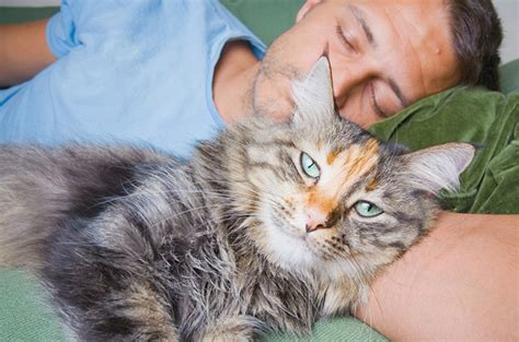 Learn what cat euthanasia involves, how to decide if it is time to put your cats to sleep, the cost of having your feline friend euthanized, and. Pet Euthanasia | Dog Euthanasia | Cat Euthanasia Sacramento