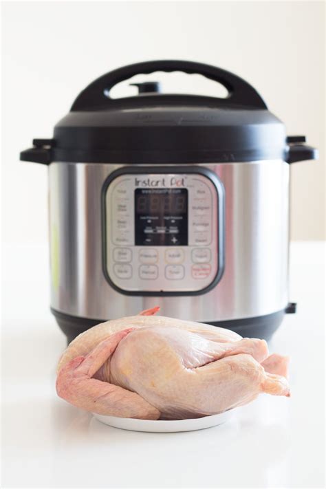 How long does it take to cook a turkey? The longest experiment of all times: Instant Pot Chicken ...