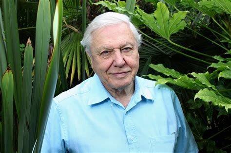 David attenborough narrates the story of rodrigo medellin. David Attenborough Reveals His One And Only Career Regret ...