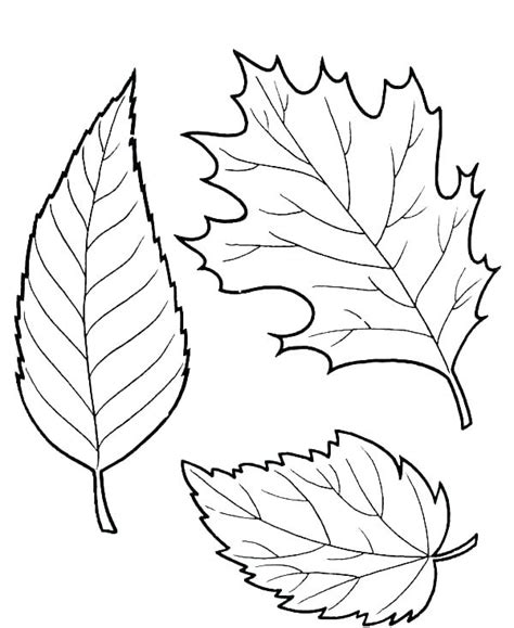 Fall is all about leaves strewn everywhere. Fall Leaves Coloring Pages - Best Coloring Pages For Kids