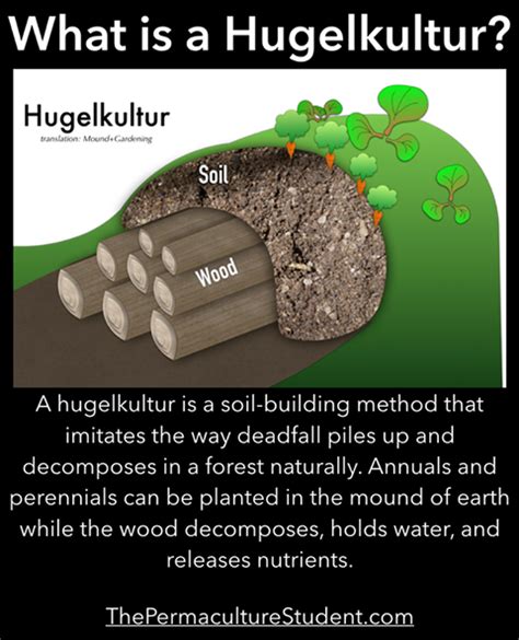 Sepp holzer and bernd mueller explain the construction, the effect and the basic ideas for the construction of a water retention landscape: Sepp Holzer | familia Dei